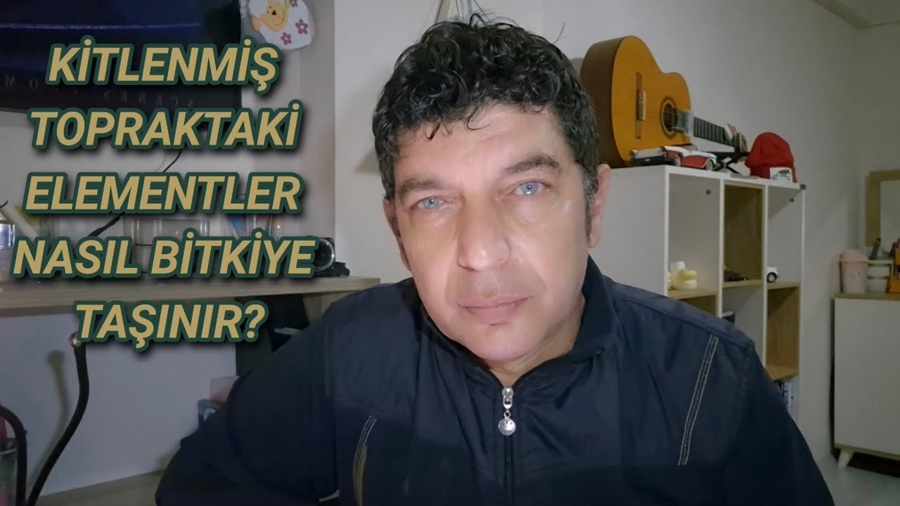 Kitlenmiş Topraktaki Elementler Nasıl Bitkiye Taşınır?
