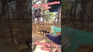 Top Speed Running Dog Catch Grok #shorts #ytviral #dogwithpublicsafety #pets #dog #catch