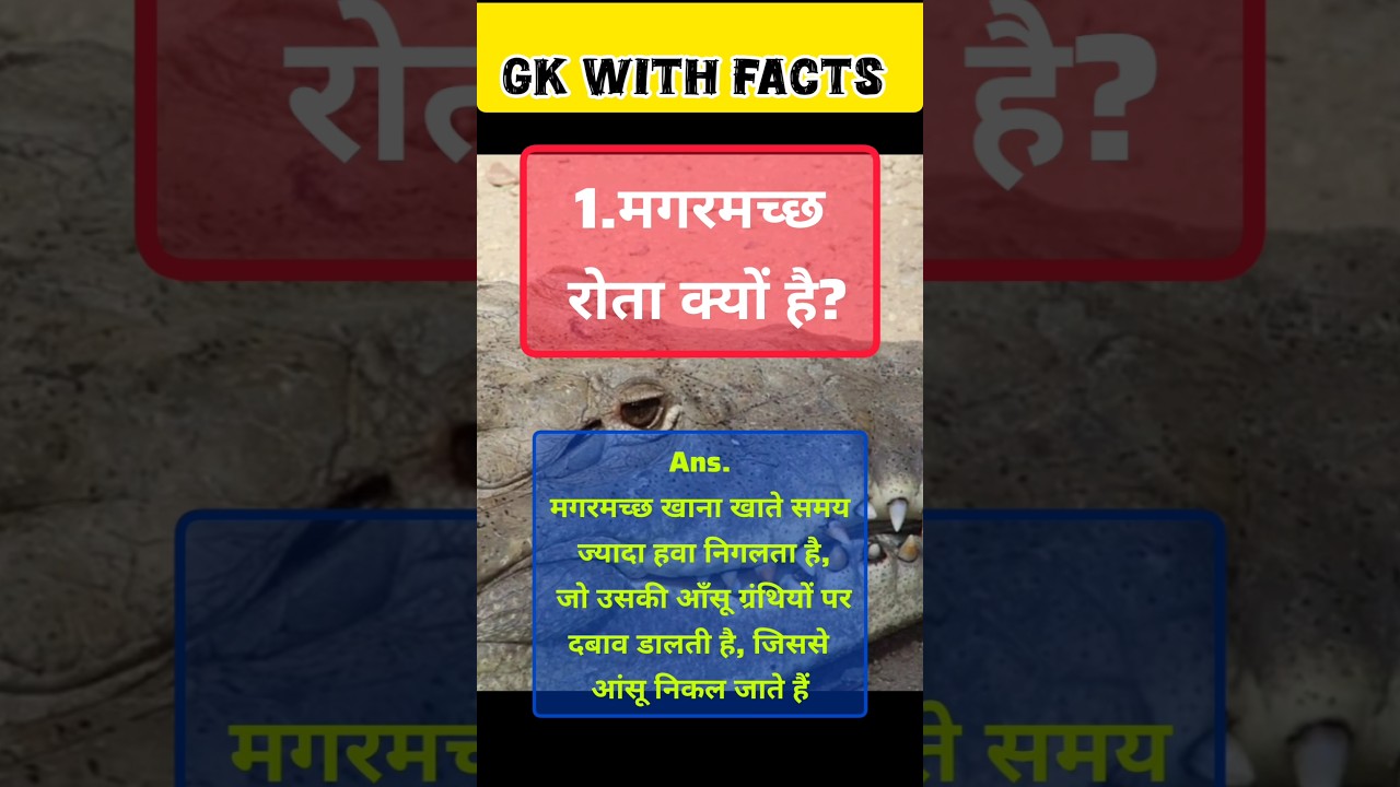 intresting facts about animals 