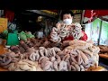 40년동안 돼지부속만 삶아~ 진짜 미친가격에 판매! / korean sausage, pork intestine / korean street food