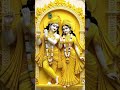 Tum hi mere Prem ho Radhe #radhakrishna #premanandjimaharaj #beautifulflowers 🌹🌼🌸🌺🌹♥️♥️♥️♥️♥️♥️♥️