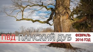 Поход выходного дня по Белгородской области 6 7 февраля 2016 года Панский Дуб(ПВД в Шебекинском районе с целью побывать у 500 летнего дуба и посетить Дмитриевское городище. Отлично прове..., 2016-02-12T12:44:35.000Z)