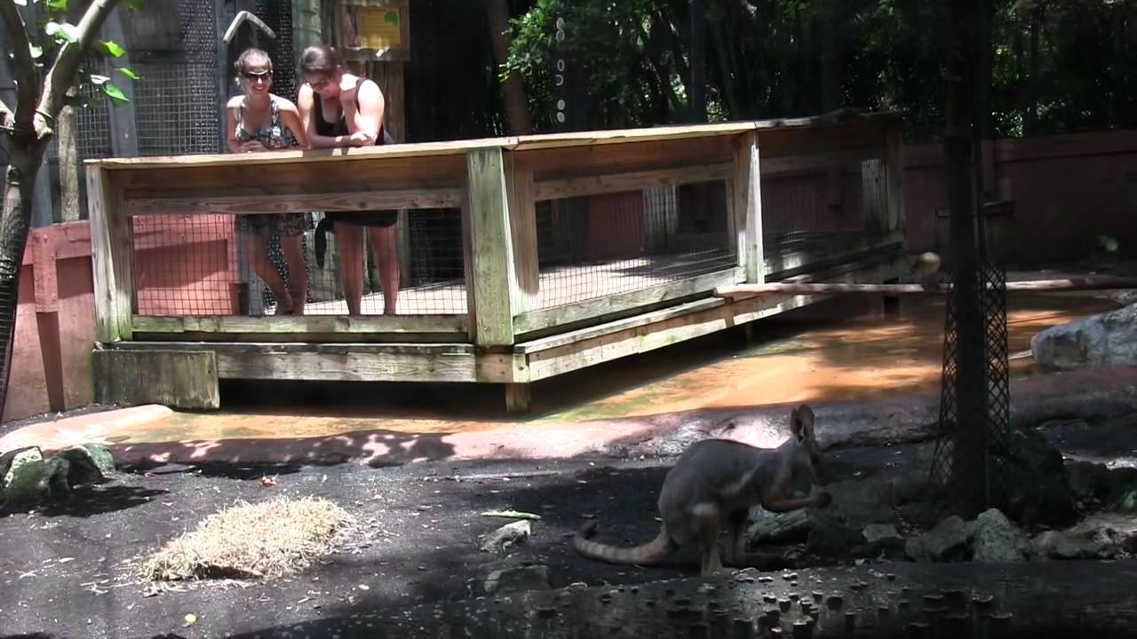 A Palm Beach Zoo membership is "worth it"