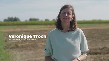 HEMP4FUTURE | HOGENT AgroFoodNature en FTILab+