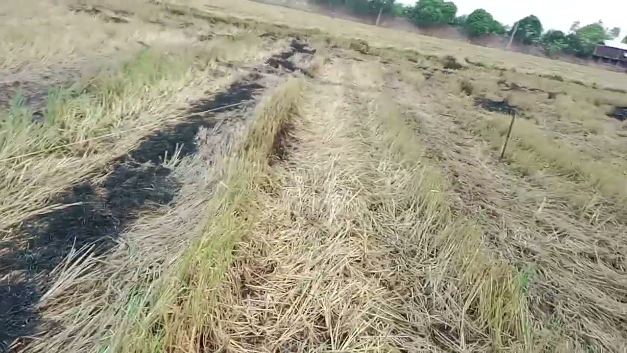 video chia sẻ ae mới vô nghề cách căng  lưới úp cu, ,, cò trắng ..... 0337630114zalo