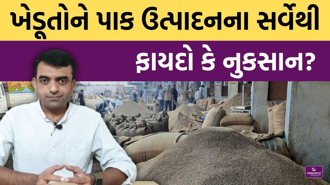 જીરાના ઉત્પાદનનો FISS દ્વારા સર્વે | Jeera | Agriscience