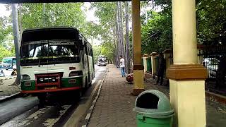 Cuma 3 Corong Telolet Aja Bisa Banyak Lagu Loh! Po.Haryanto HR20 Paradise