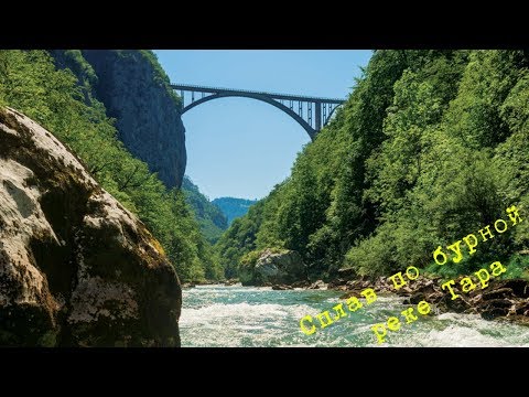 2# Сплав по бурной реке Тара | Жабляк | Черногория