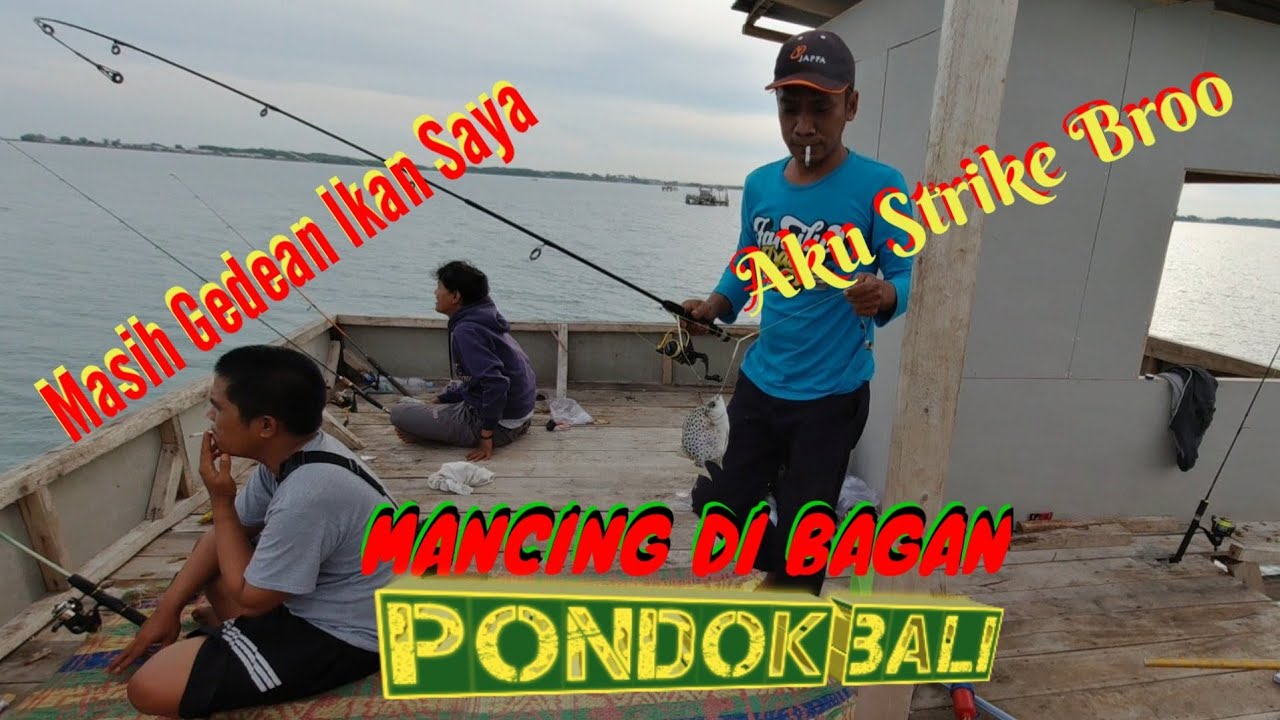 FULL STRIKE || Keseruan Mancing di Bagan Pondok Bali