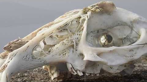 The Kalman Filter. 54.1833607, -1.9391344