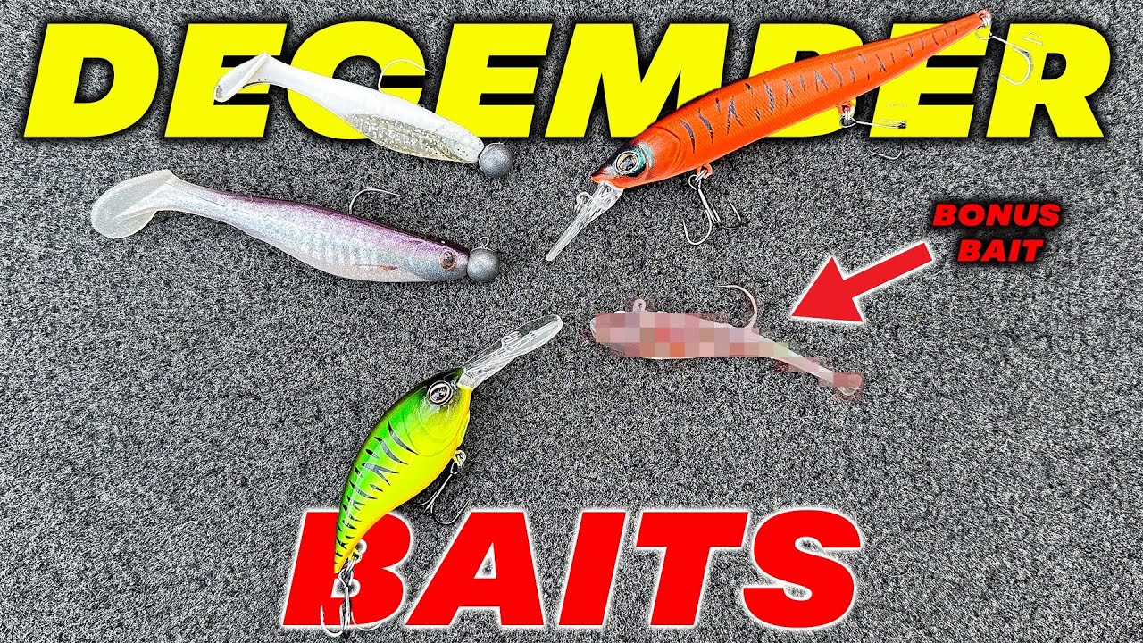BEST BAITS FOR DECEMBER BASS FISHING Bass Manager The Best Bass