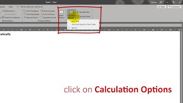 The Office Expert - Excel Formulas not Calculating
