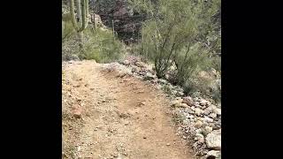 Access the Handicap Hiking Trail