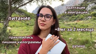 :   :      ,     |  