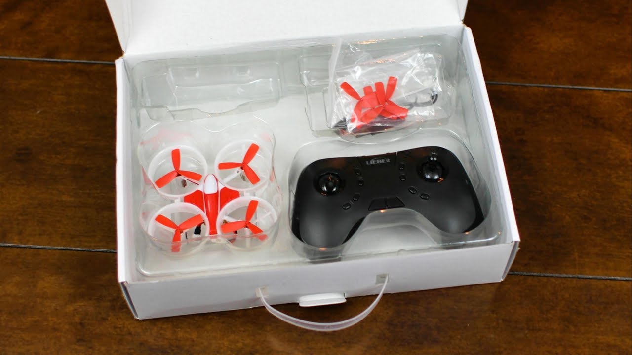 Micro Drone In A Case - Lieber LB1060 Mini Racer Drone - TheRcSaylors