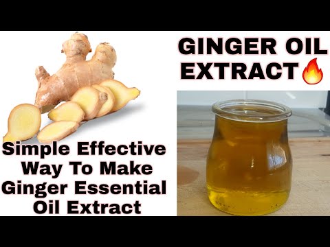 Belly Drainage Ginger Oil Reviews - World Best Most Effective Ginger Oil Essential Oil Extract