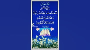 سورة يونس قارئ الشيخ بلال #القرآن_الكريم تلاوة خاشعة