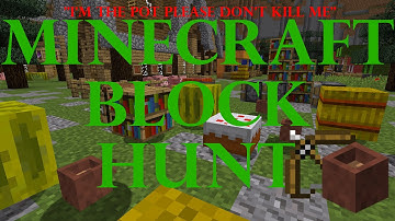 NO HACKS, just glitches and riches/Minecraft Block Hunt/EkkoEzzy