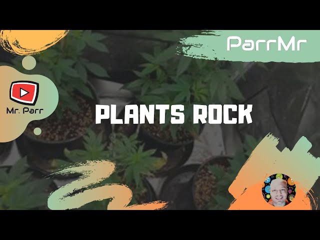 Lesson thumbnail