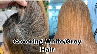 HOW TO COVER GREY/WHITE HAIR USING BLONDE HAIRCOLOR | PAANO MAGKULAY NG PUTING BUHOK | CHADING
