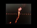 Ciertas Cosas (Cover Audio) - Andrés Cepeda