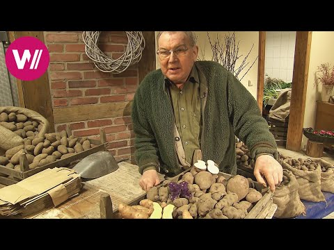 Video: Warum davon träumen, im Traum Kartoffeln zu essen?