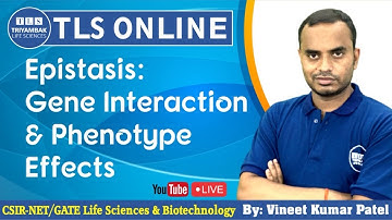 Epistasis: Gene Interaction & Phenotype Effects