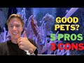 Do Seahorses Make Good Pets? 5 Pros and 3 Cons to owning seahorses!