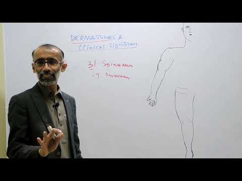 Dermatomes and Clinical Significance II Dermatomes of Upper & Lower Limbs II Dr. Khalil