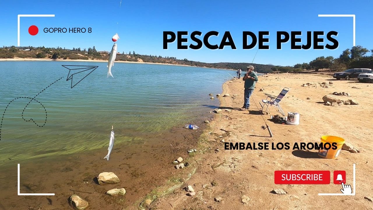 temporada de pejes 2025 embalse los aromo (limache)