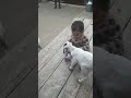 cute kid playing with goat #kids #viralvideo #viralreels #cutebaby #cute