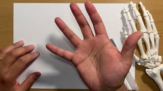 Hands For The Frcs Tr & Orth - How To Draw A Z-Plasty