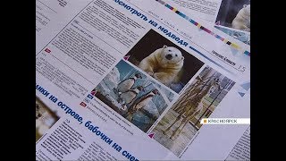 Видео В Красноярске в преддверии Универсиады газета вышла на трех языках (автор: Телекомпания Енисей)