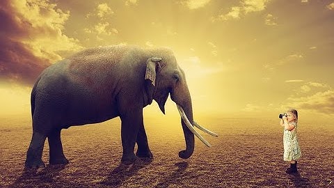 Elephant and Children - Photoshop Manipulation Tutorial
