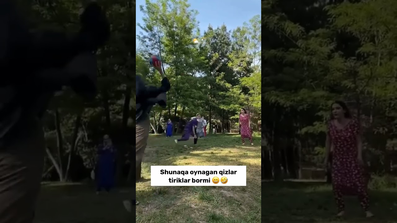 Toros ayollarining jinsiyligi Siqilgan mushuklarning fotosuratlari