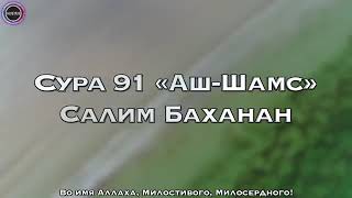 Чтец Салим Баханан. 🎙️Сура 91 Аш-Шамс