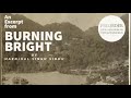 Burning bright by harnihal singh sidhu a short reading