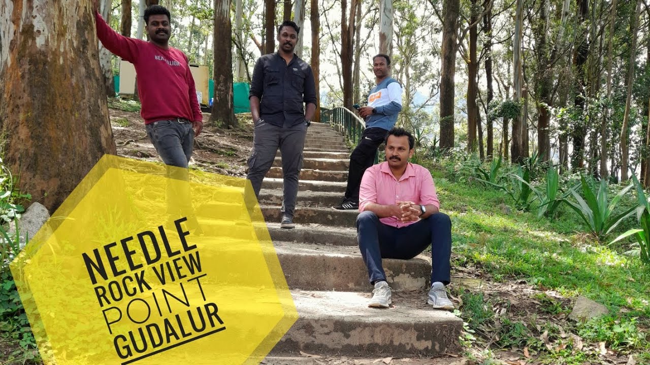 Needle Rock View Point Gudalur Tamilnadu