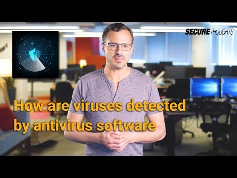 How are Viruses Detected by Antivirus Software?