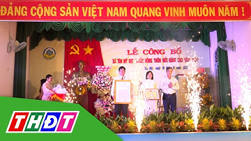 Công bố xã Tân Mỹ (huyện Lấp Vò) đạt chuẩn Nông thôn mới nâng cao | THDT