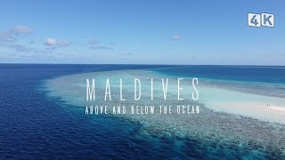 MALDIVES 4K | ABOVE AND BELOW THE OCEAN | SCUBA CRUISE 2022