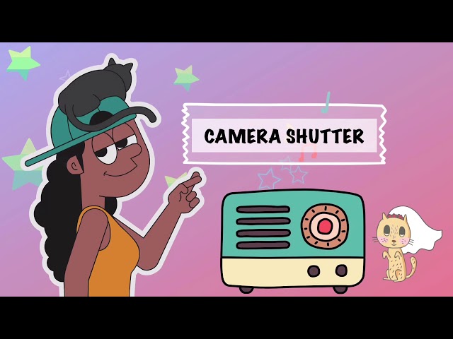 SOUNDS EFFECT | Camera shutter [no copyright music] FREE class=