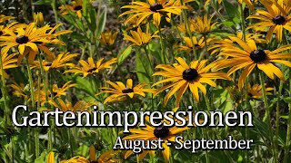 Gartenimpressionen August - September