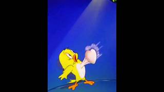 Tweety Heart Beating Fast Duck Heartbeat Linkdescription