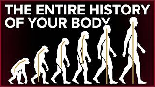 Human Evolution Explained: Why We're Designed Wrong