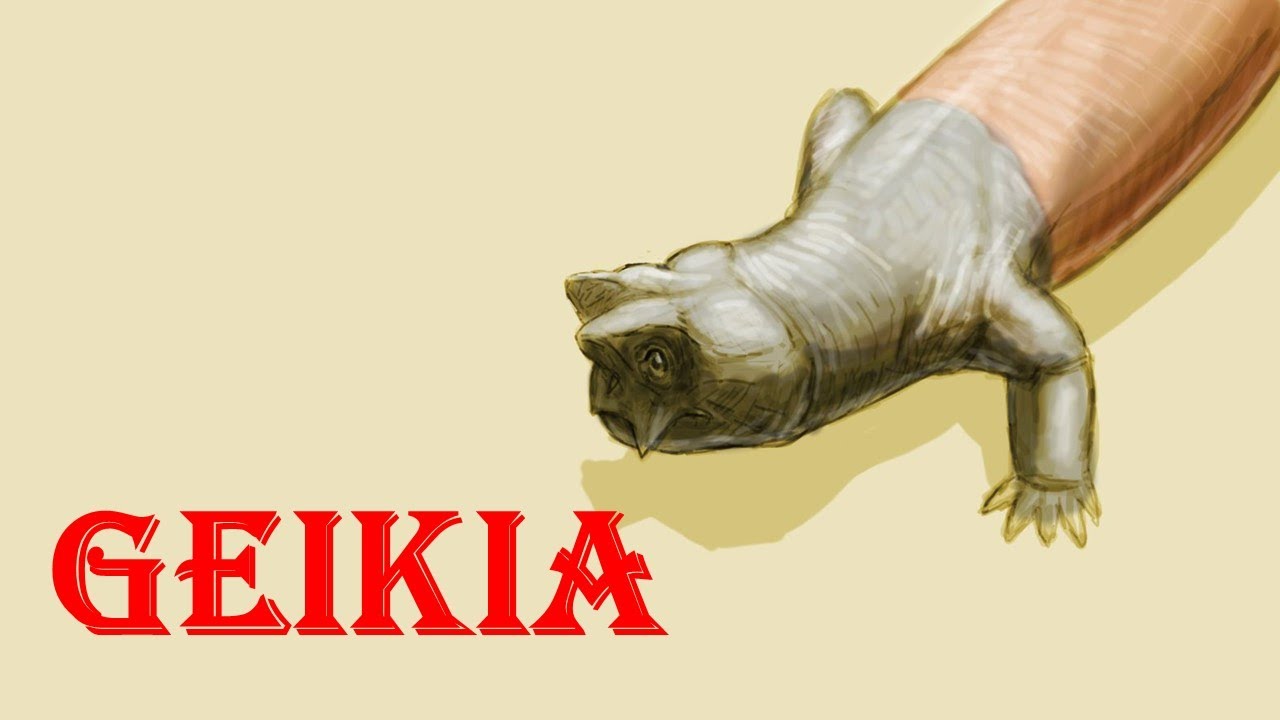 Geikia - YouTube
