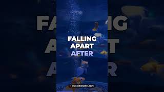 THE FISH THAT EXPLAINS AI