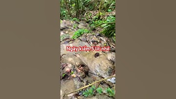 Ngày 5 lít ngọt sớt #thiênnhiên #vungcaotaybac #cuocsong #smartphone #dulich