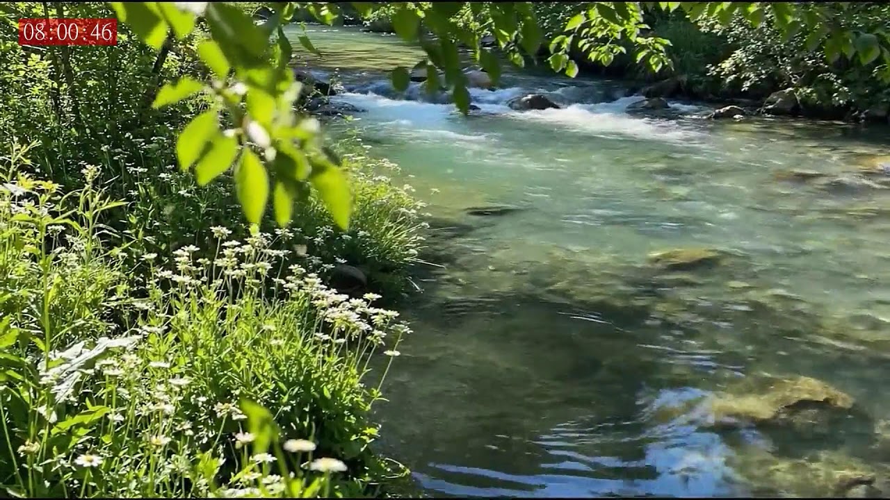 Relaxing Sounds for Sleep Night 🌌 Soft Night Soundscape