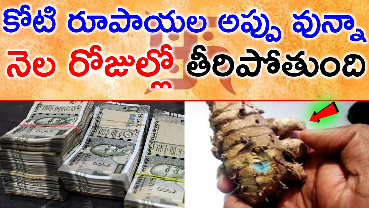 కోటి రూపాయల అప్పు వున్నా నెల రోజుల్లో తీరిపోతుంది